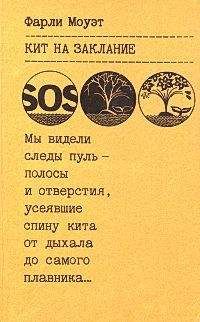 Ольга Хлудова - За голубым порогом