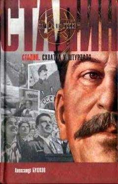 Юрий Емельянов - Сталин. Путь к власти