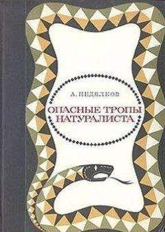 Владимир Динец - Песни драконов. Любовь и приключения в мире крокодилов и прочих динозавровых родственников