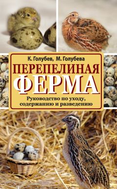 Марина Голубева - Перепелиная ферма. Руководство по уходу, содержанию и разведению