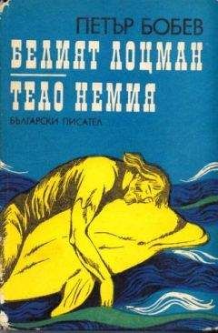 Евгений Брандис - В мире фантастики и приключений. Белый камень Эрдени