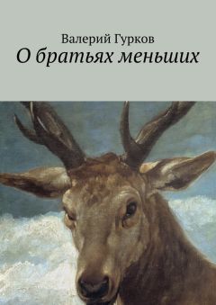 Валерий Гурков - О братьях меньших