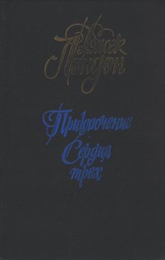 Сэмюэль Гей - Боттичелли из Страны Дураков