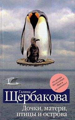 Алексей Слаповский - Заколдованный участок