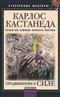 Яков Бирсави - Карлос Кастанеда. Закрытый семинар великого мастера. Продвижение к Силе