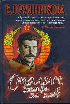 Владимир Бушин - Россия. Сталин. Сталинград: Великая Победа и великое поражение