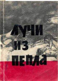 Д. Засосов - Из жизни Петербурга 1890-1910-х годов