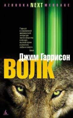 Джефф Николсон - Бедлам в огне
