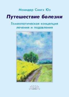 Жильбер Шаретт - Практическое гомеопатическое лекарствоведение. Дополнения