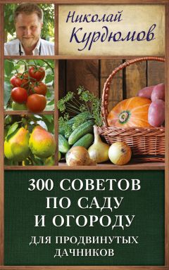 Николай Курдюмов - Современный сад для тех, у кого нет времени