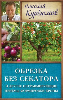 И. Соколов - Обрезка деревьев и кустарников плодовых и декоративных