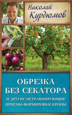 Николай Курдюмов - Обрезка без секатора и другие нетравмирующие приемы формировки кроны