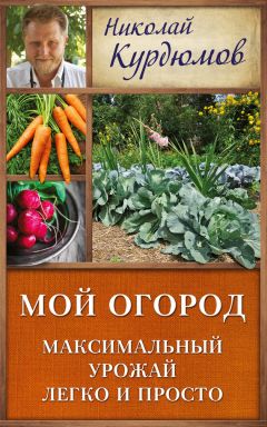 Николай Курдюмов - Моя урожайная теплица