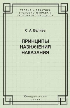 Владимир Бурлаков - Индивидуализация уголовного наказания. Закон, теория, судебная практика