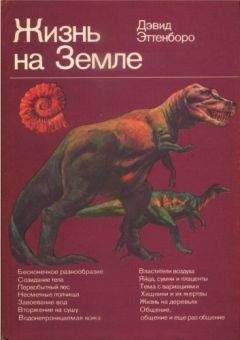 Ричард Докинз - Рассказ предка. Путешествие к заре жизни.