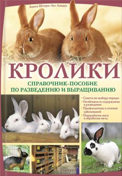 Луис Боргенихт - Младенец. Руководство пользователя: Инструкция по эксплуатации, рекомендации по устранению неисправностей, советы по первому году технического обслуживания