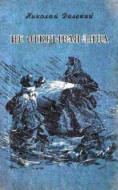 Николай Грибачев - Огни в тумане