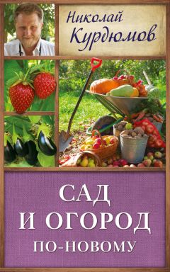 Николай Курдюмов - 300 советов по саду и огороду для продвинутых дачников