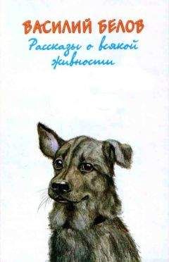 Петр Заводчиков - Девичья команда. Невыдуманные рассказы