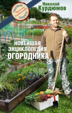 Николай Курдюмов - Огород на маленьком участке