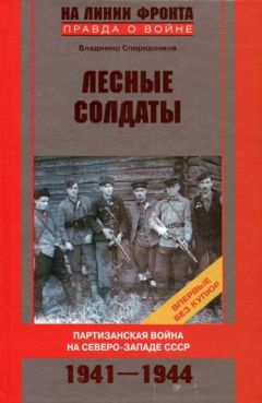 Клаус Рейнгардт - Поворот под Москвой