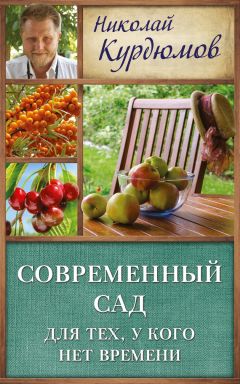 Николай Курдюмов - Современный сад для тех, у кого нет времени