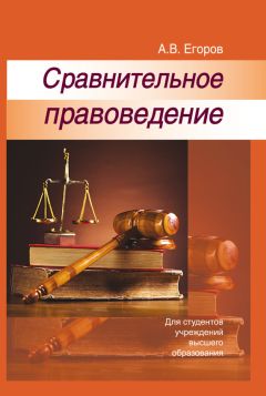  Коллектив авторов - Институты конституционного права