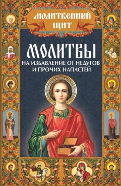 Павел Михалицын - Чудодейственный покров Божьей Матери. 100 икон и молитв, которые творят чудеса