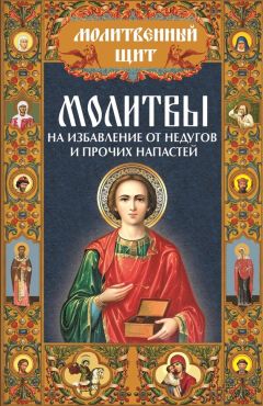 В. Шевченко - Молитвы в трудных жизненных ситуациях. Для сомневающихся и искушаемых