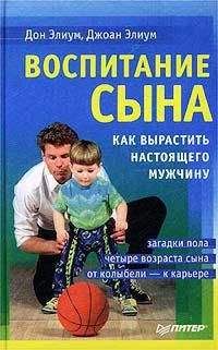 Бретт Стинбарджер - Самоучитель трейдера: Психология, техника, тактика и стратегия