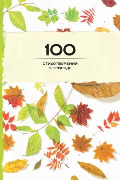 Александр Сорокин - В свете солнца. Сборник стихотворений