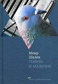 Меир Шалев - В доме своем в пустыне