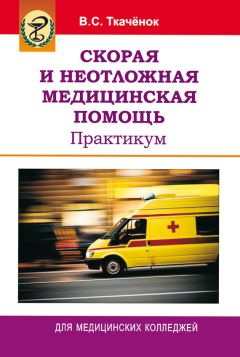 Евгений Шуремов - Экономический анализ: практические вычисления. Экономические расчеты онлайн