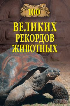 Анатолий Бернацкий - 100 великих рекордов животных