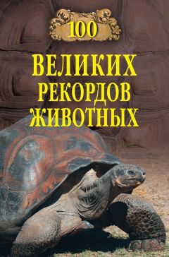 Анатолий Бернацкий - 100 великих угроз цивилизации