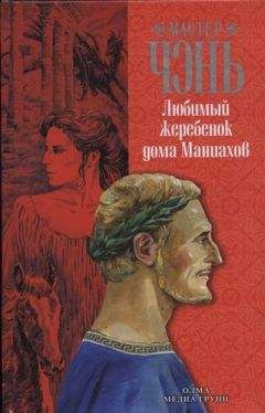 Елена Толстая - Фартовый человек