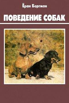 Александра Горовиц - Собака от носа до хвоста. Что она видит, чует и знает