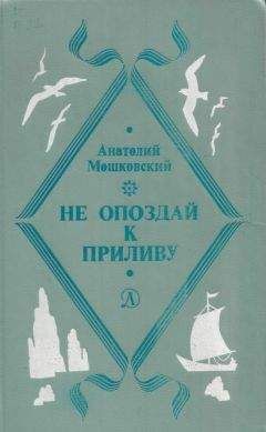 Анатолий Мошковский - Вызов на дуэль