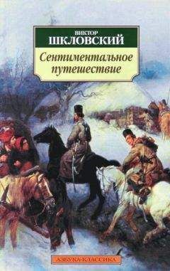 Виктор Шкловский - За и против. Заметки о Достоевском