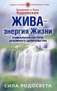 Дмитрий Окунев - РЭЙКИ-Путь сердца