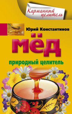 Арина Дмитриева - Лечение медом