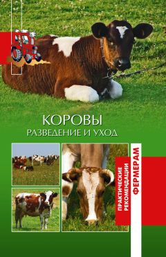 Ольга Лукьянова - Коровы. Разведение и уход