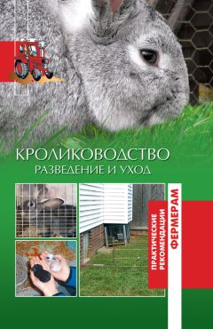 Андрей Лапин - Выращивание кроликов. Как содержать, разводить, лечить – советы профессионалов. Лучшие породы