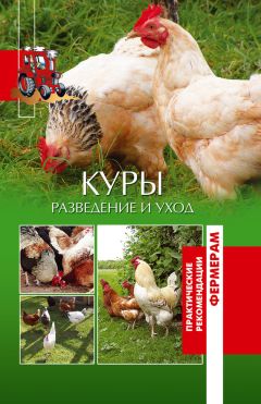 Ольга Лукьянова - Коровы. Разведение и уход