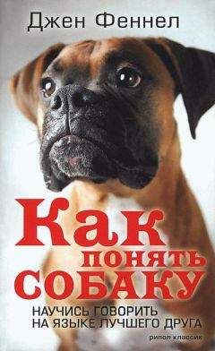 Наталья Сухинина - Кормление собак