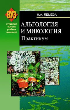 Николай Лемеза - Альгология и микология. Практикум