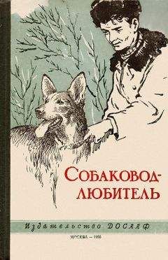 Вадим Пустовойтов - Дрессировка собак неслужебных пород. Защита хозяина и личного имущества