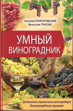 Анна Кузнецова - Домашний виноградник