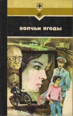 Анатолий Шестаев - Приключения Синегорова