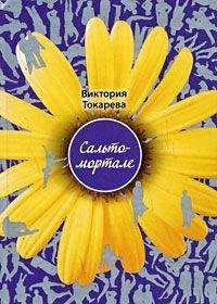 Виктория Токарева - Первая попытка (сборник)